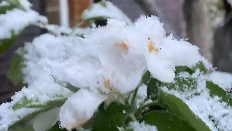 Снежная крупа, дожди и температурные «качели» ожидаются в Удмуртии на текущей неделе