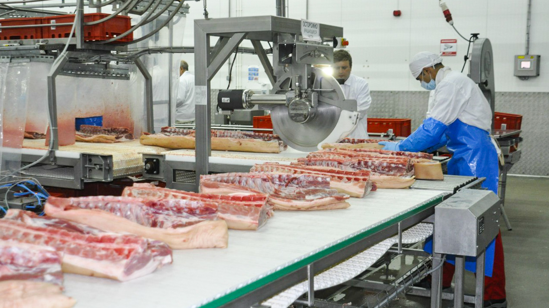 Более 600 тонн свинины отправлено из Удмуртии в Монголию