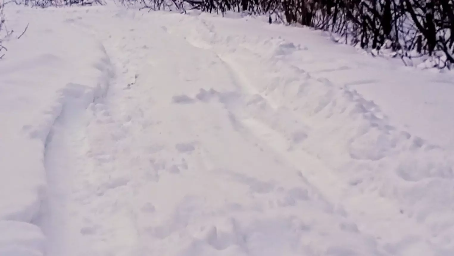 В Ижевске мать юноши-инвалида просит очистить улицу от снега