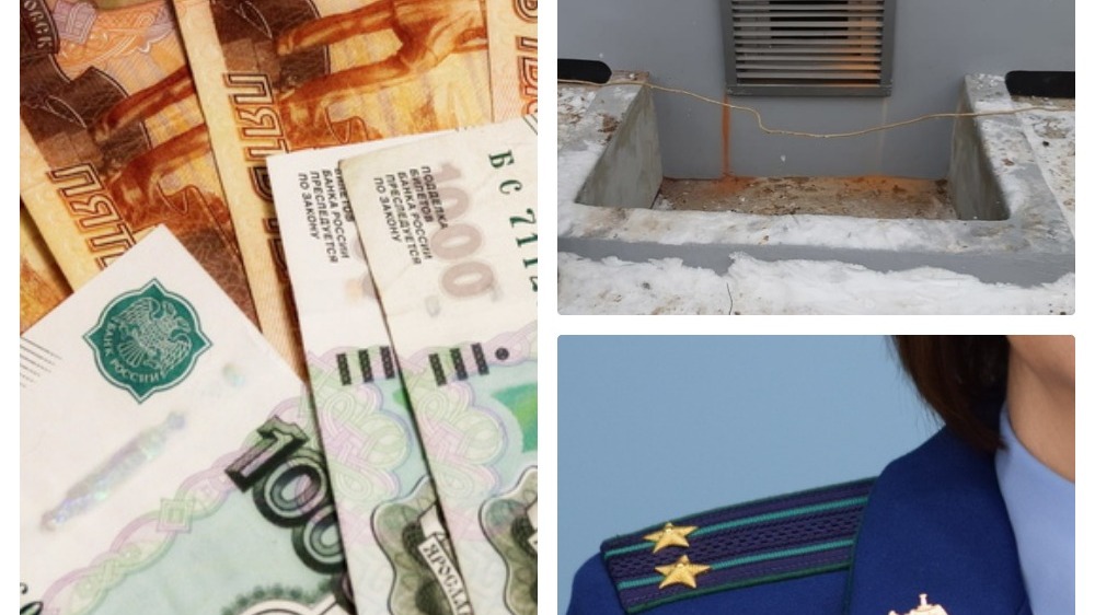 Подвал для кошек, деньги на баланс и предостережение властям Ижевска: итоги пятницы