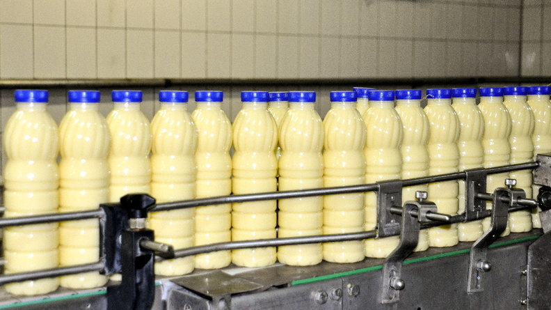 В Удмуртии в продукции «Молочной фермы» нашли кишечную палочку