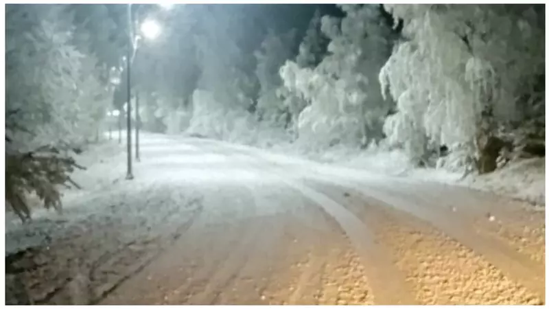 «Все дороги замело»: Обильный снег выпал на севере Удмуртии