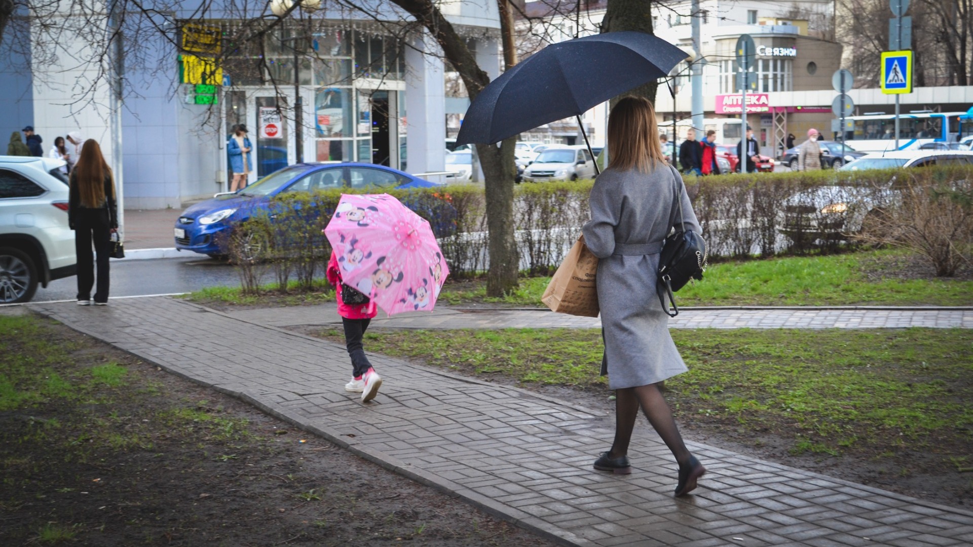 Дождь, ветер и грозы: суббота несет прохладу жителям Удмуртии