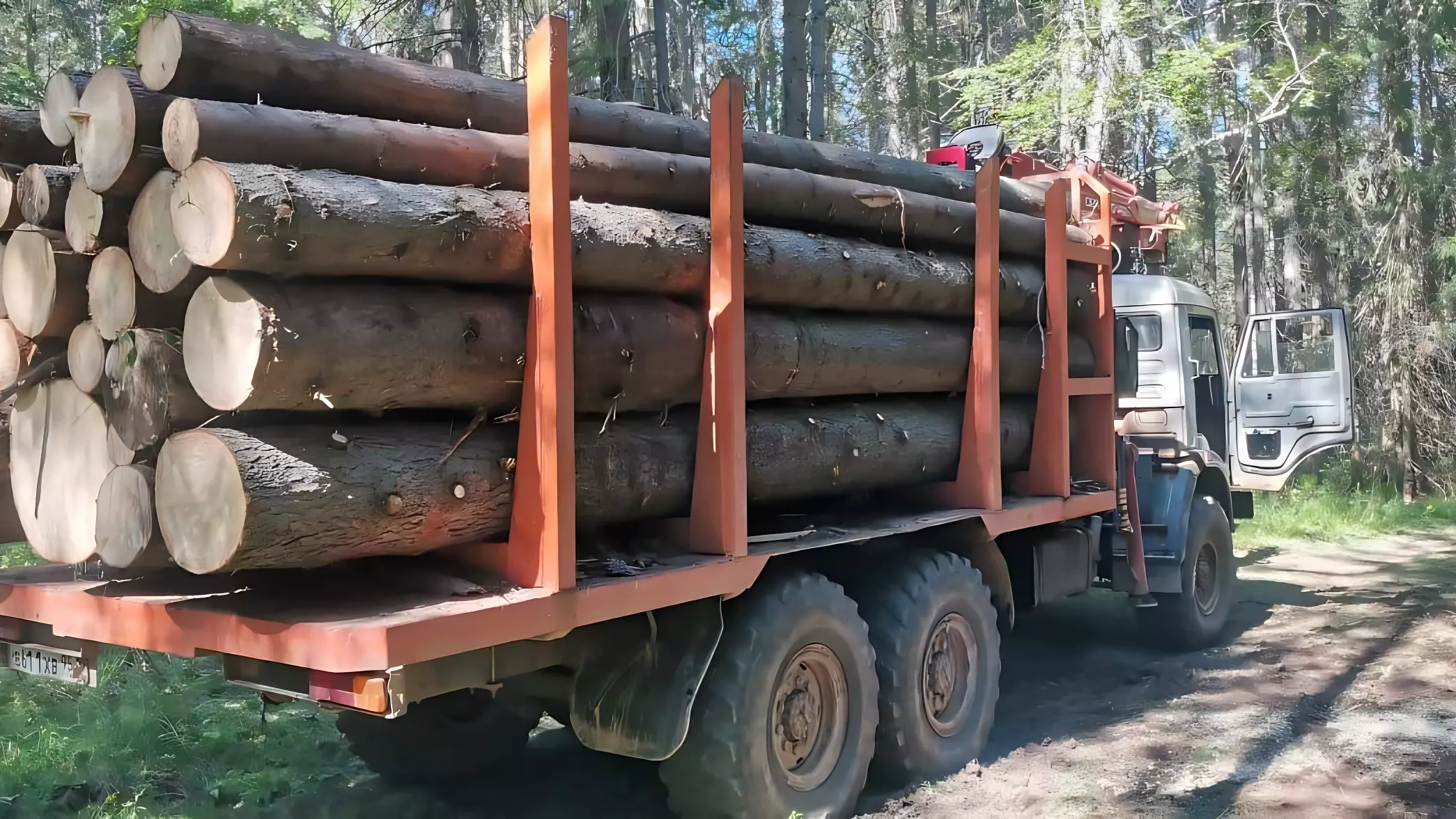 На 2,5 млн рублей незаконно срубили лес двое жителей Удмуртии