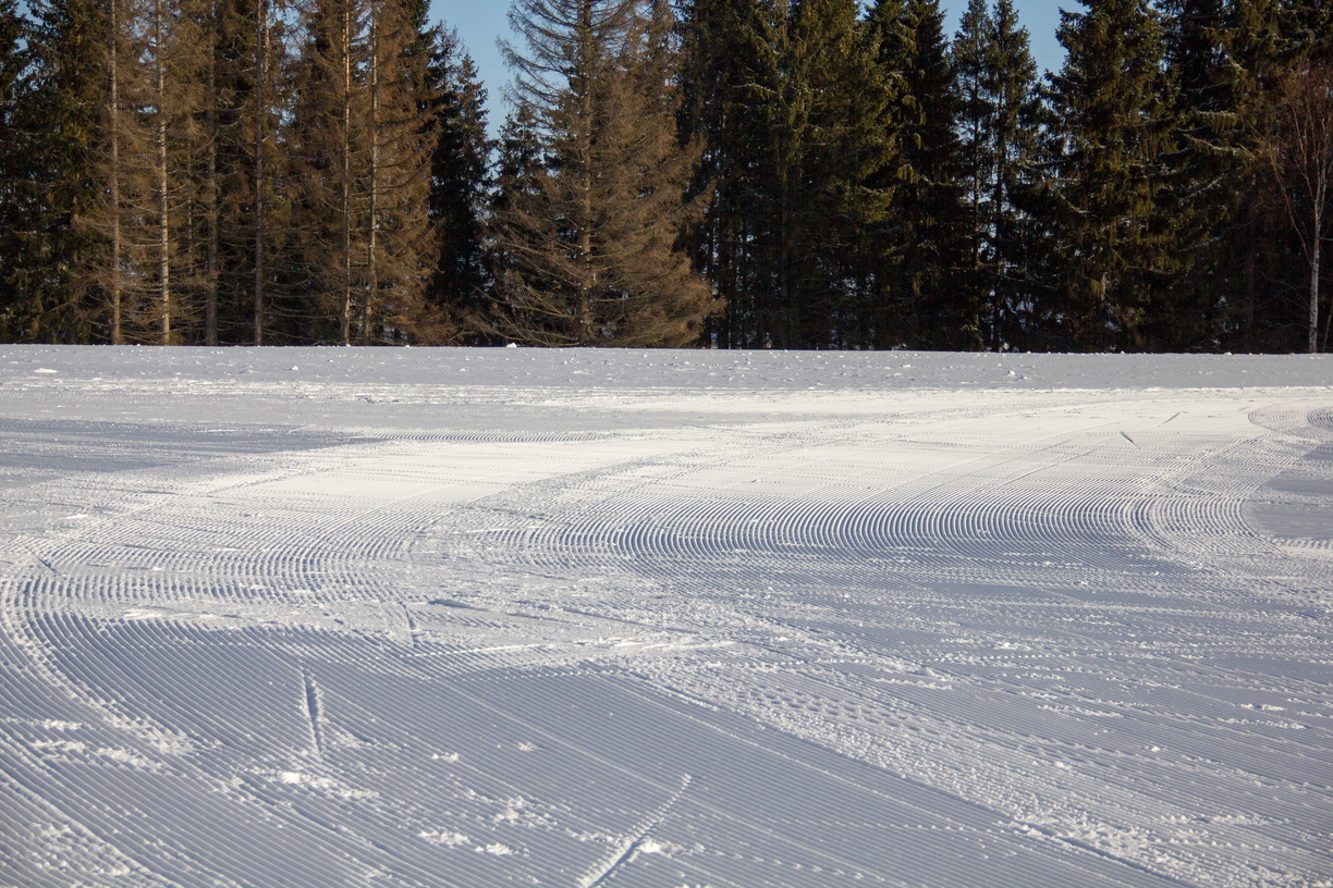 Ижевчане просят оборудовать освещенную лыжную трассу для конькового стиля