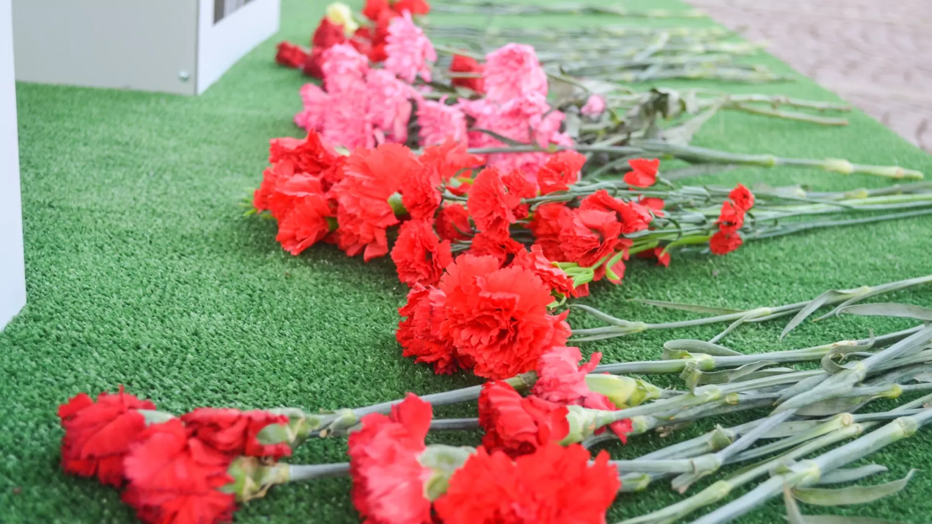 В память о погибших бойцах СВО в Ижевске создадут парк «Патриот» и сквер