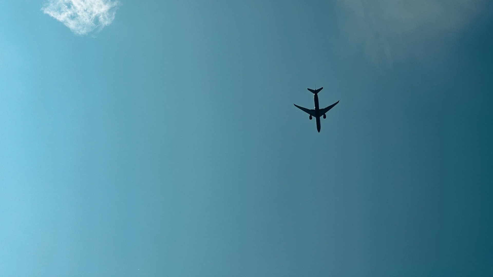 «Ижавиа» планирует запустить первые международные рейсы в 2024 году