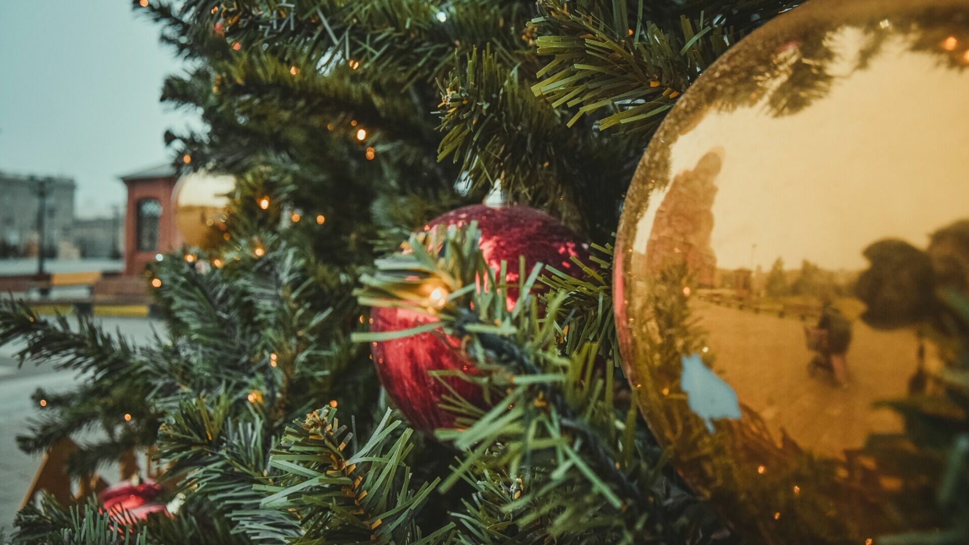 Новогодние елки в Ижевске пригодятся и после праздников