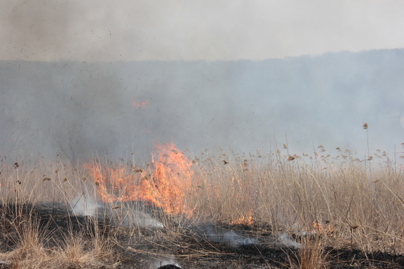 Более 100 пожаров произошло в Удмуртии с конца марта