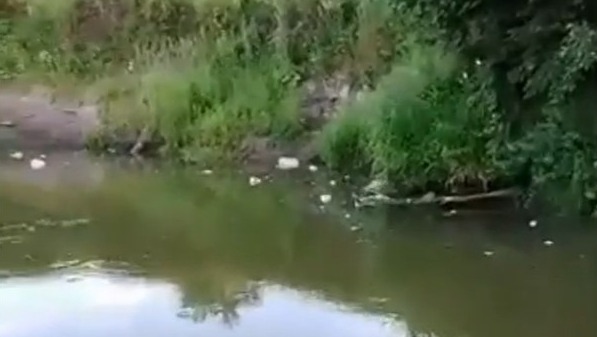 Руководитель минприроды Удмуртии лично проверит состояние отравленной реки Ува