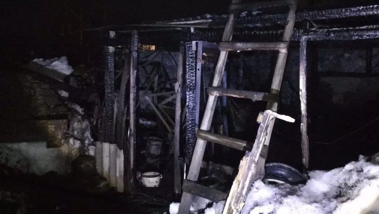 Три поросенка, сарай и теплица сгорели в частном хозяйстве в Сарапуле