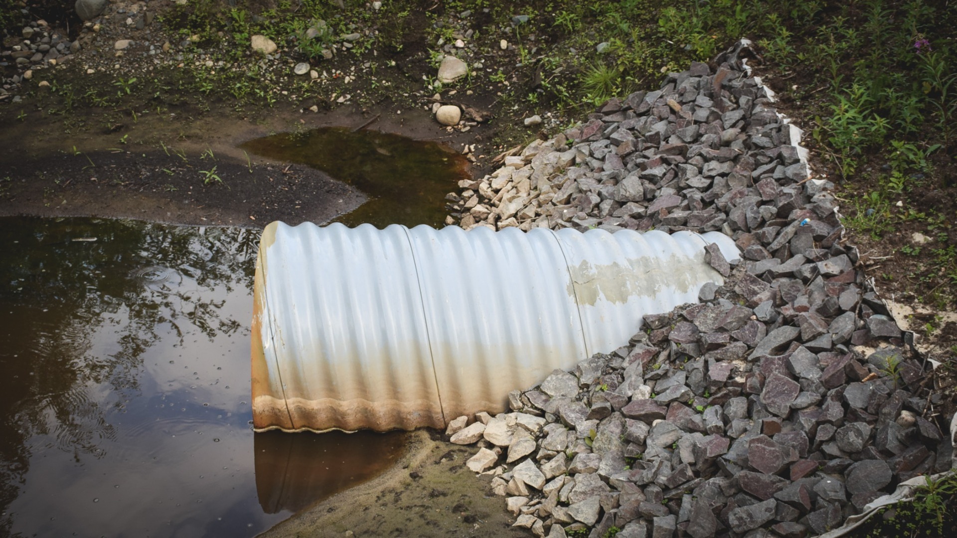 В Удмуртии Большую Сарапулку загрязняют канализационными стоками