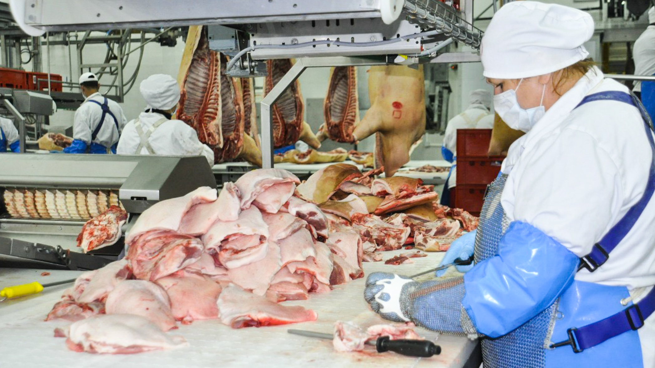 Жителей Удмуртии консультируют по безопасности мясной и рыбной продукции