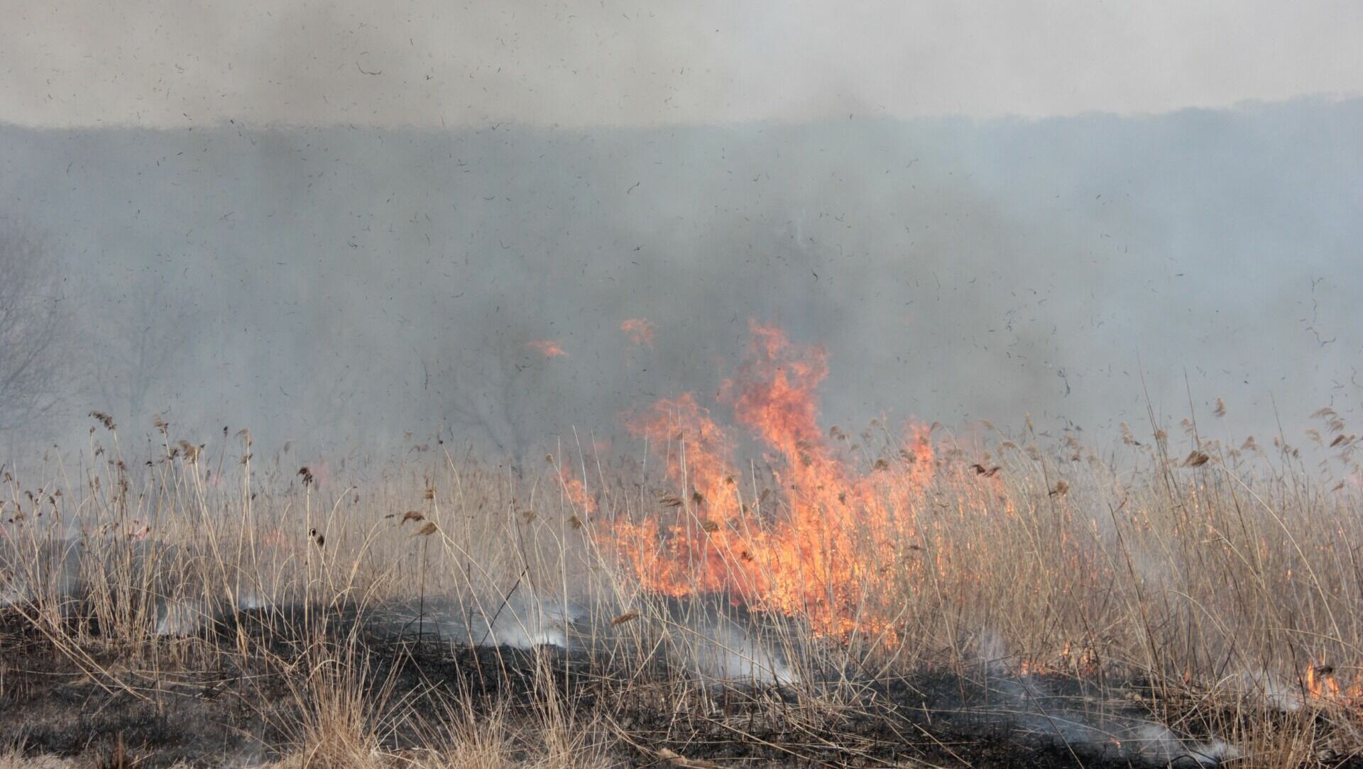 В Удмуртии в пожароопасный период за лесами будут следить беспилотники