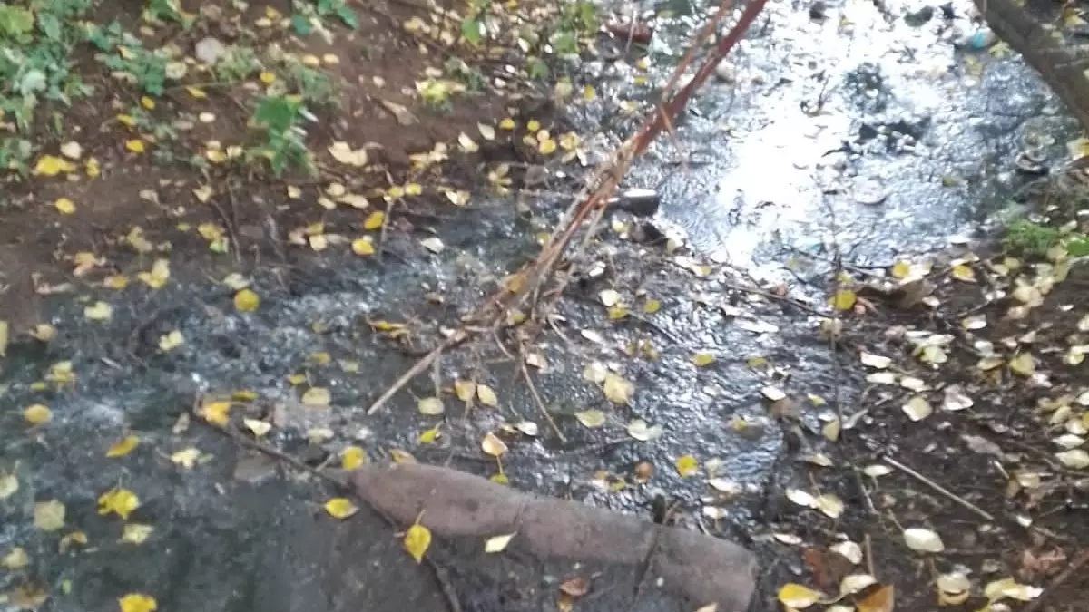 В Пирогово на месте слива канализационных стоков отобрали пробы почвы