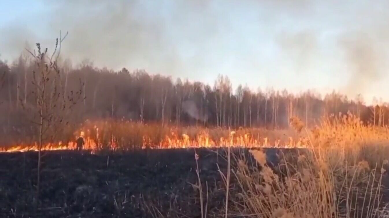 Пожар на Юровском мысу ликвидирован: новое видео с места событий от МЧС