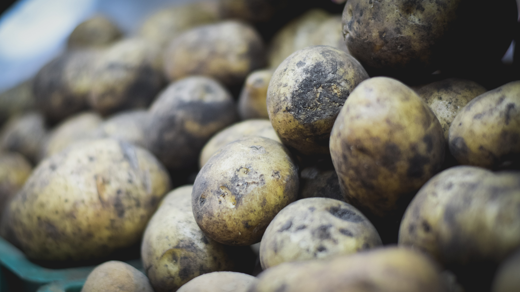 Более 3 тысяч тонн картофеля экспортировали из Удмуртии