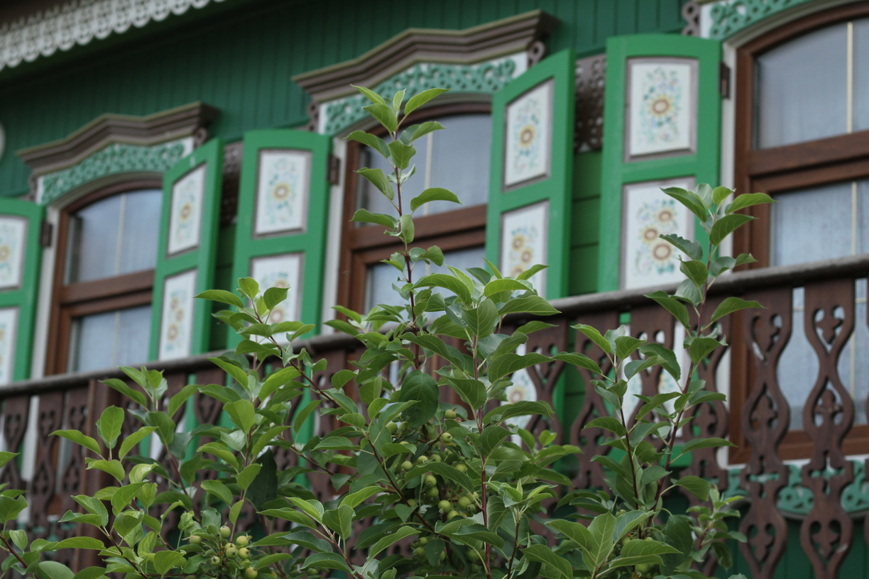15 домов для работников сельского хозяйства сдадут в Удмуртии в 2022 году