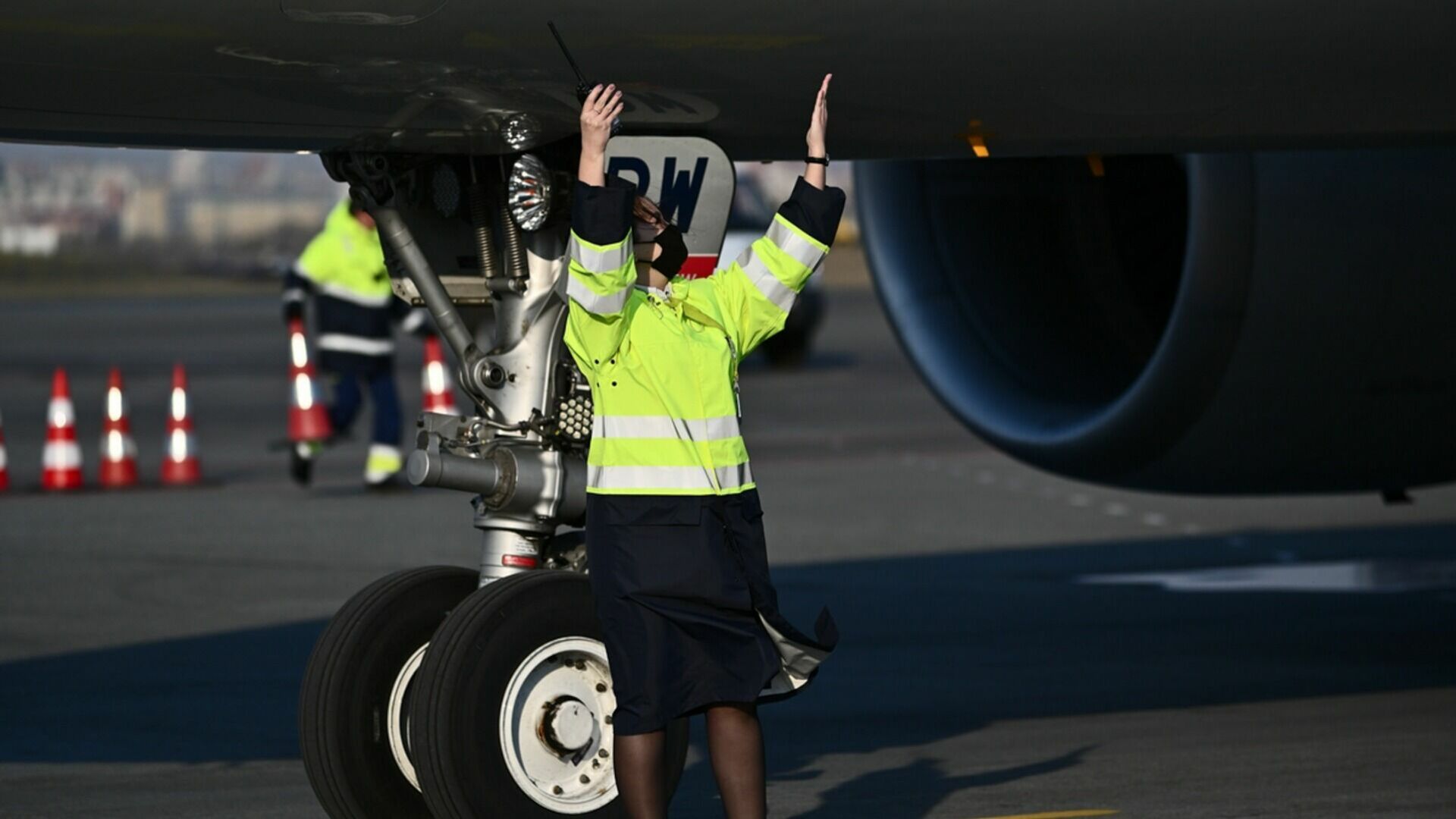 «С птичкой все в порядке»: экстренно севший в Пулково Boeing-737 вернется на линию