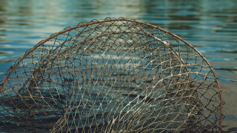 Почти 63 тысячи рублей штрафа заплатят два браконьера в Удмуртии за лов рыбы