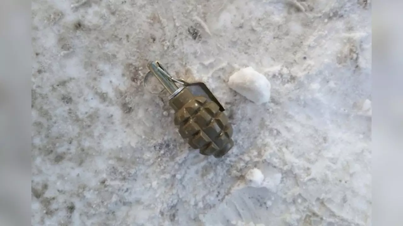 В селе Завьялово была обнаружена подозрительная граната