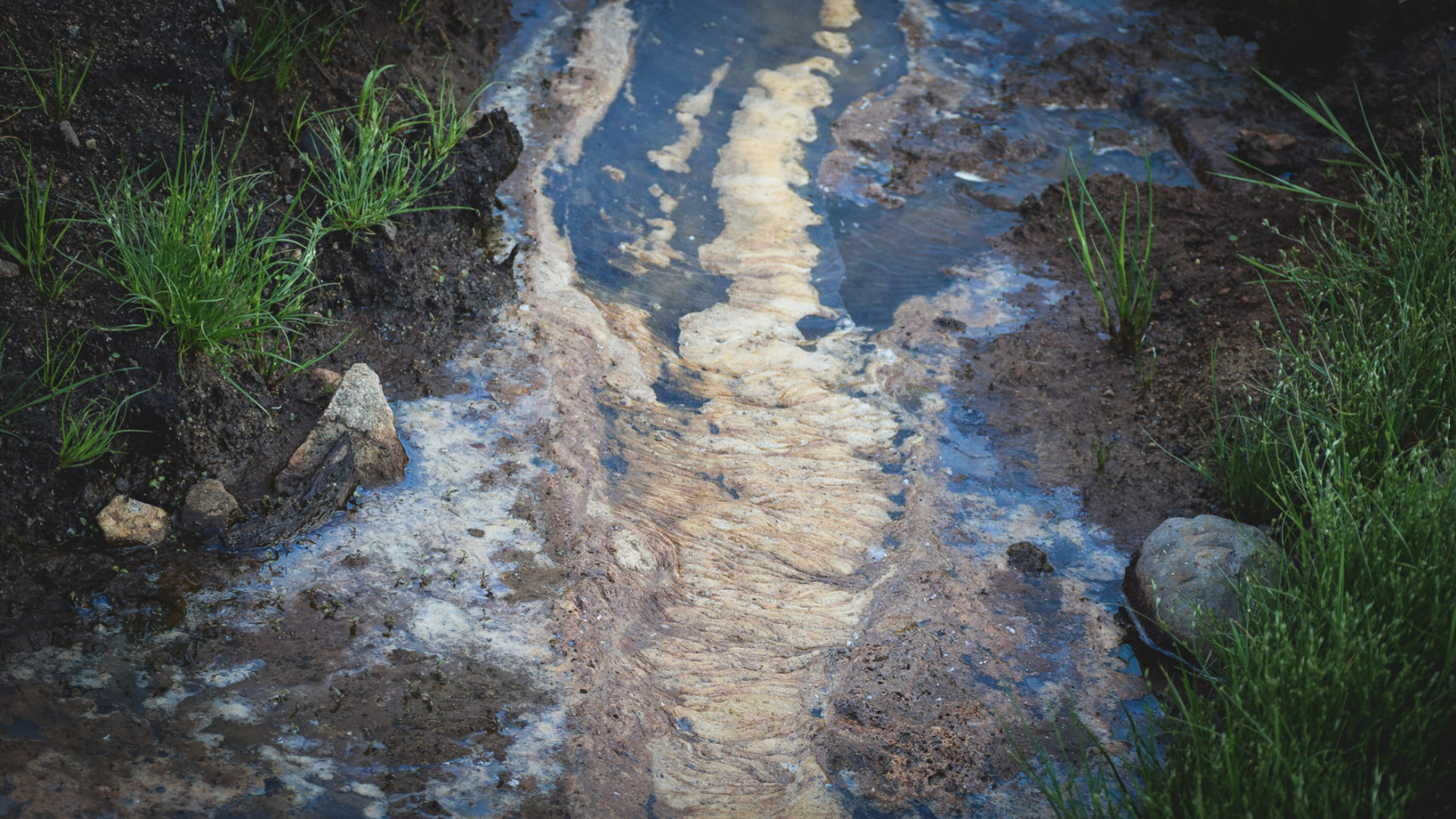 Минприроды Удмуртии проверило информацию Udm-info о сливе нечистот в реку Лозу