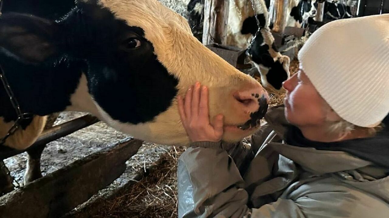Спасение коров в Глазове, беднеющая Удмуртия и недоступное лечение для Эльвиры Пинчук