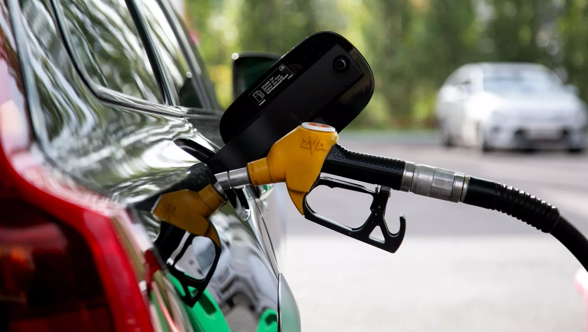 Виктор Лашкарев: Вопрос с ценами на топливо держим на контроле