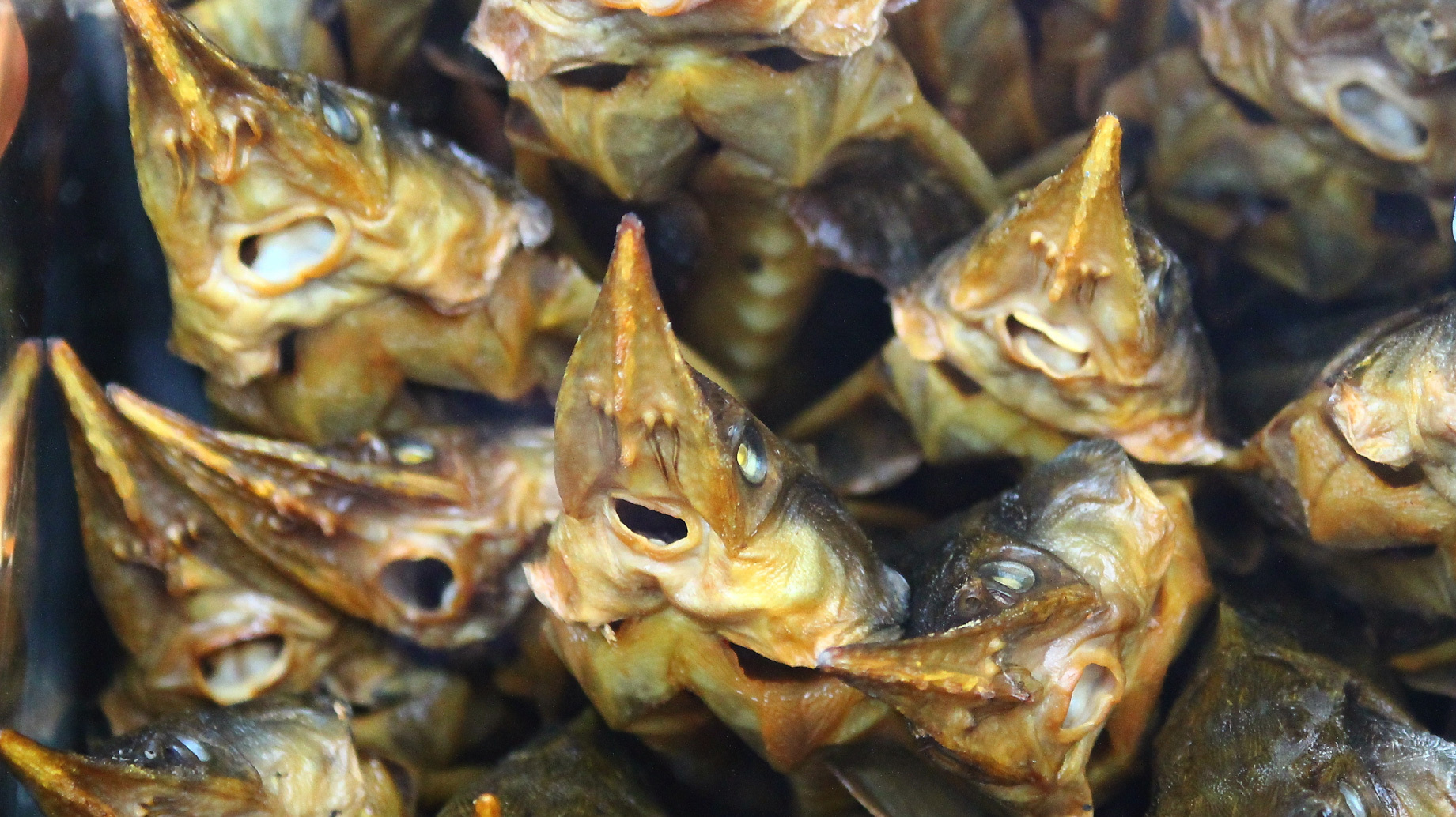 Более 7 тонн просроченной рыбы изъяли из торговли в Ижевске
