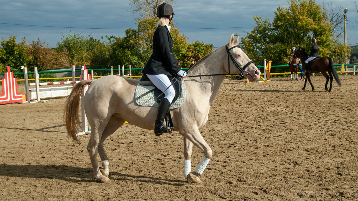 Спортивная школа по конному спорту в Ижевске