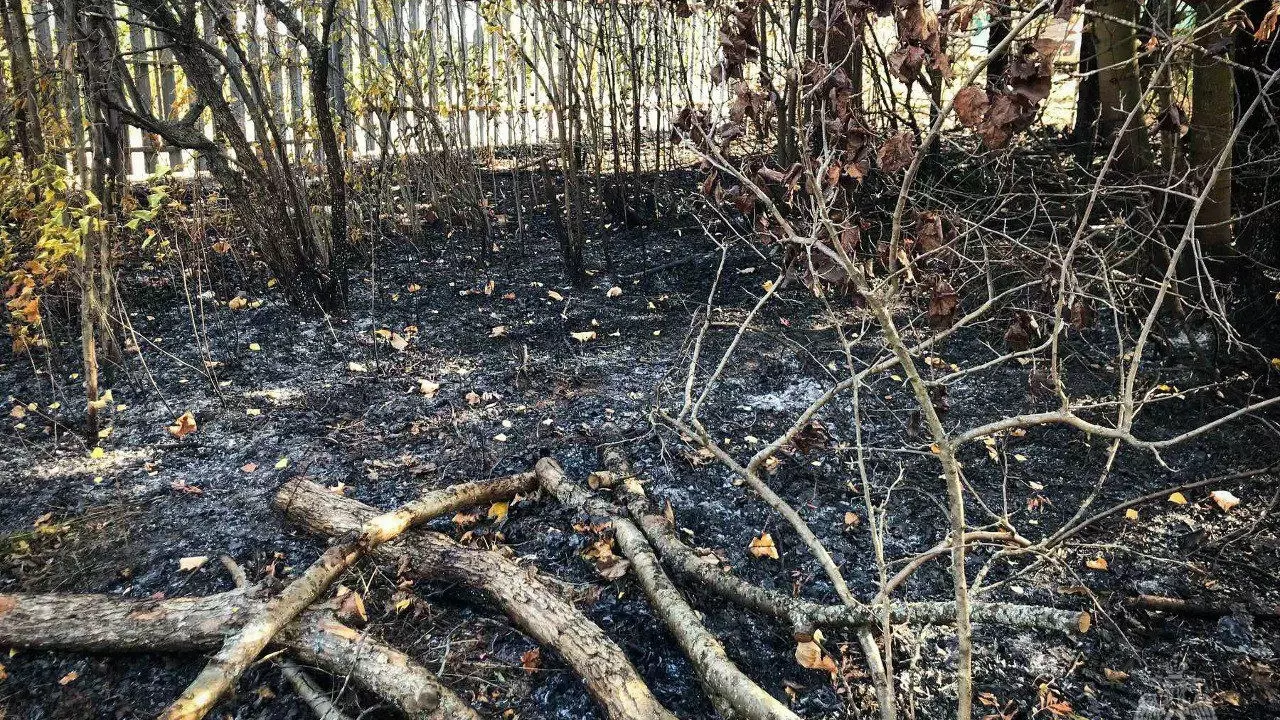 Мужчина погиб при пожаре в садовом доме в Ижевске