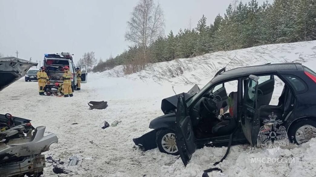 Один человек погиб и шестеро пострадали в ДТП на автодороге Сарапул-Ижевск
