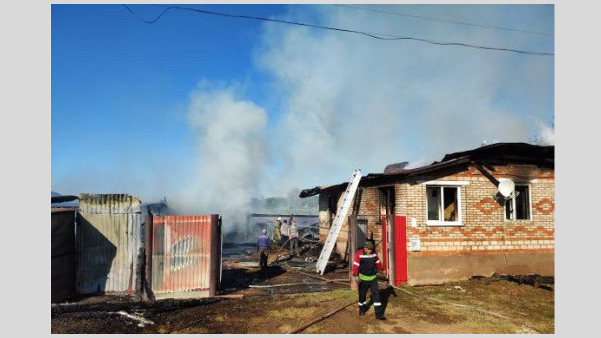 15 кур и теленок сгорели при пожаре в Удмуртии