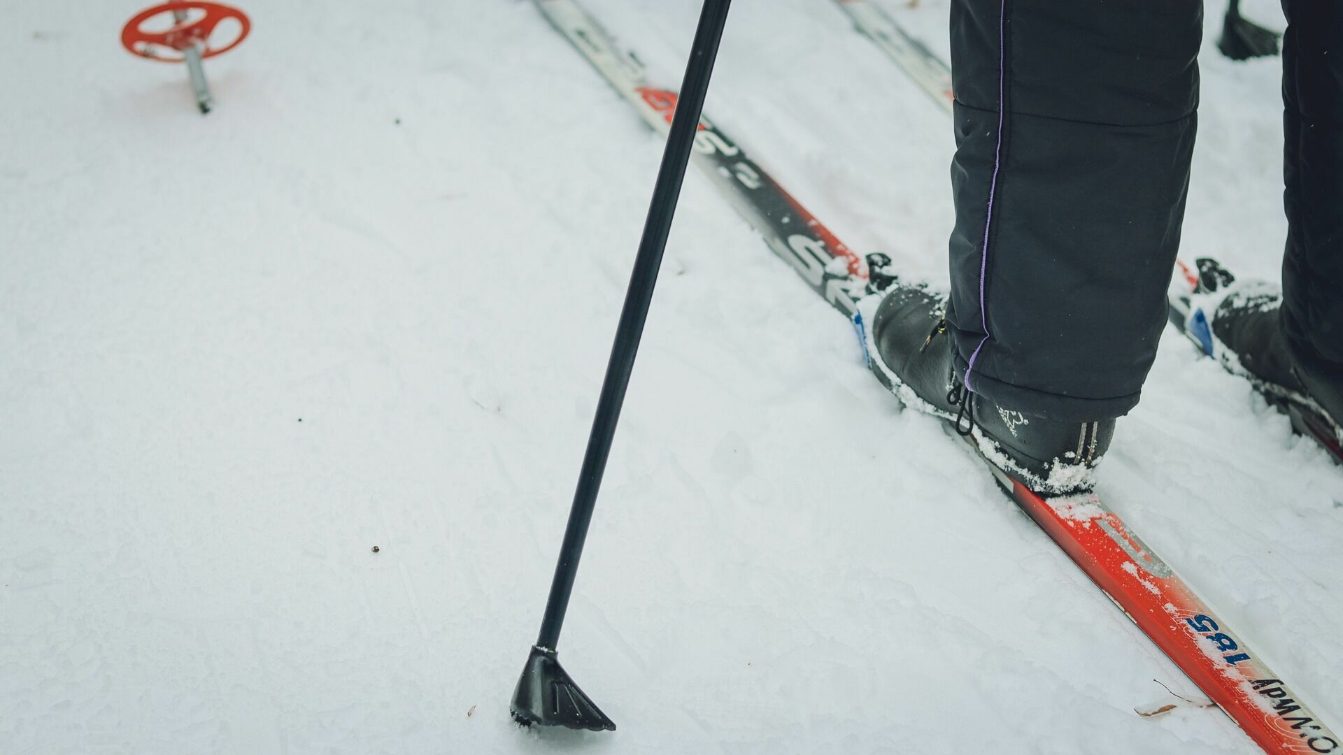 12 февраля в Ижевске пройдет массовая лыжная гонка «Лыжня России»
