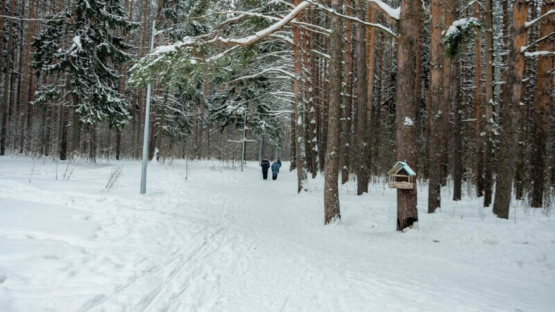 Жители Ижевска могут определить облик маршрута из сквера Драгунова в Южный парк