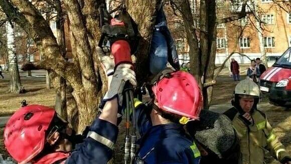 В Ижевске спасли застрявшую на дереве девочку