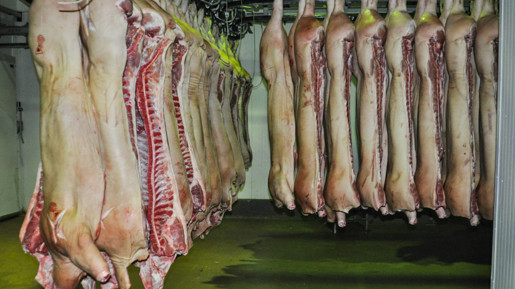 2 тонны опасной мясной продукции уничтожили в Удмуртии