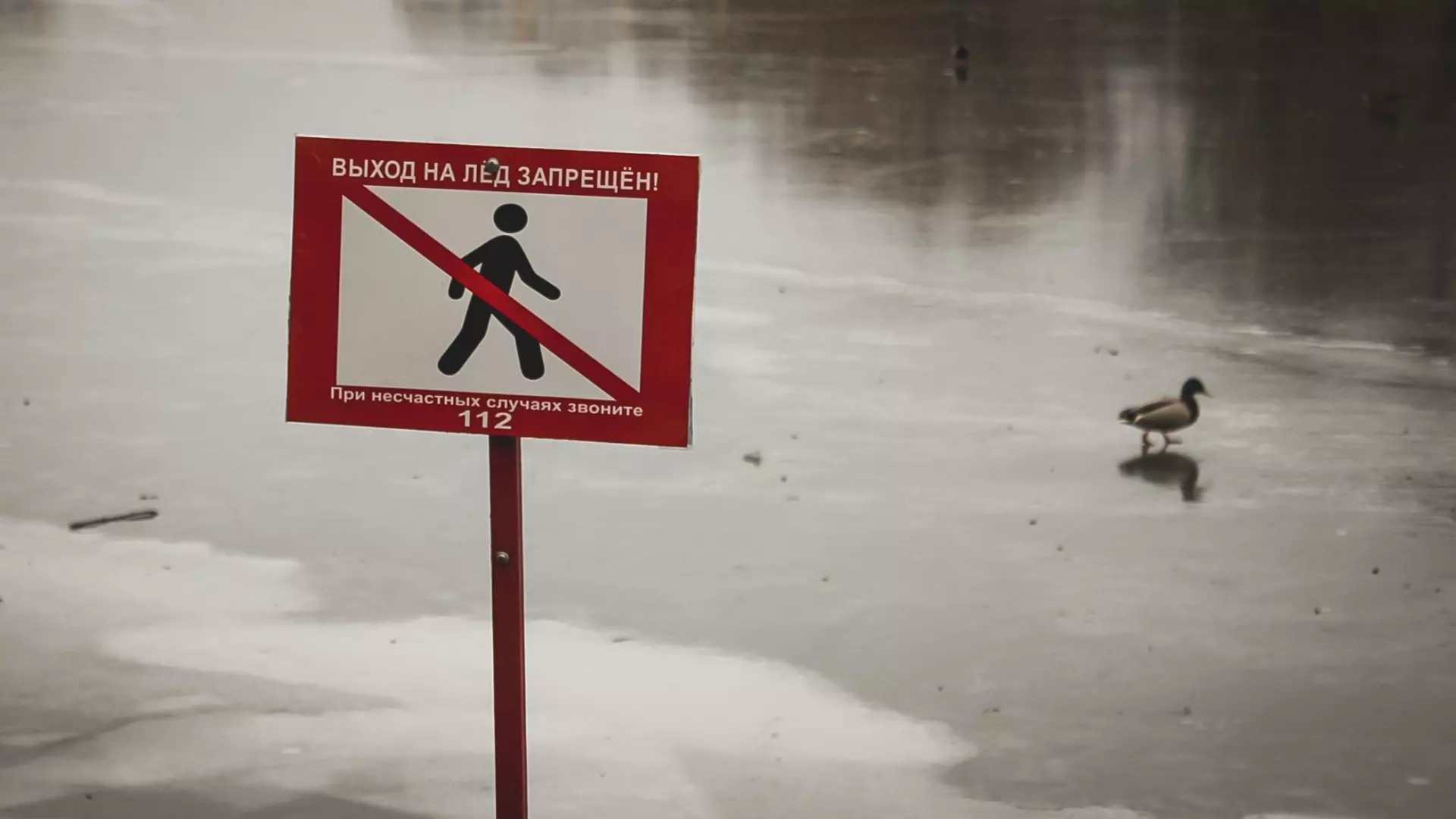 Ижевчан предупредили об опасности выхода на лед пруда