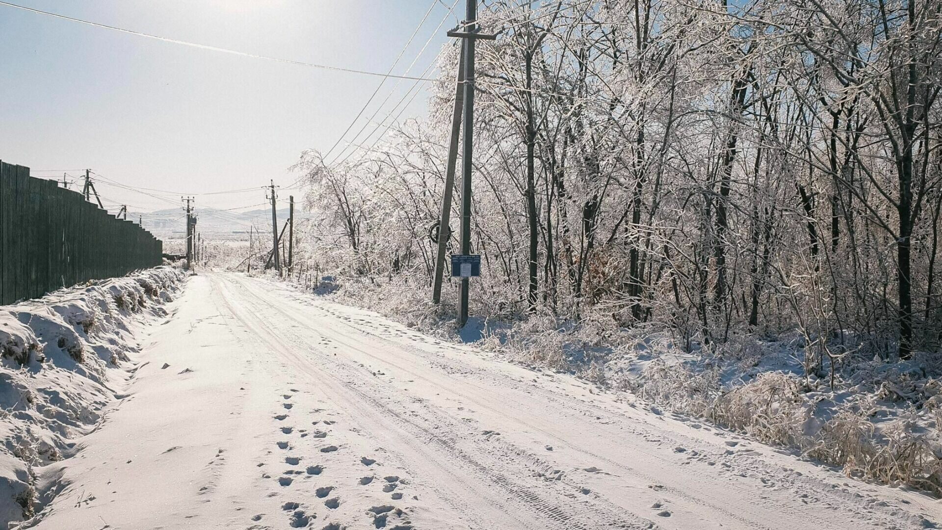 Жители Алнашского района Удмуртии просят обезопасить дороги