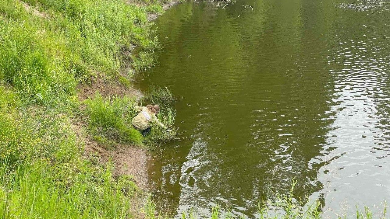 Сброс сточных вод в реку Вала зафиксирован в Удмуртии