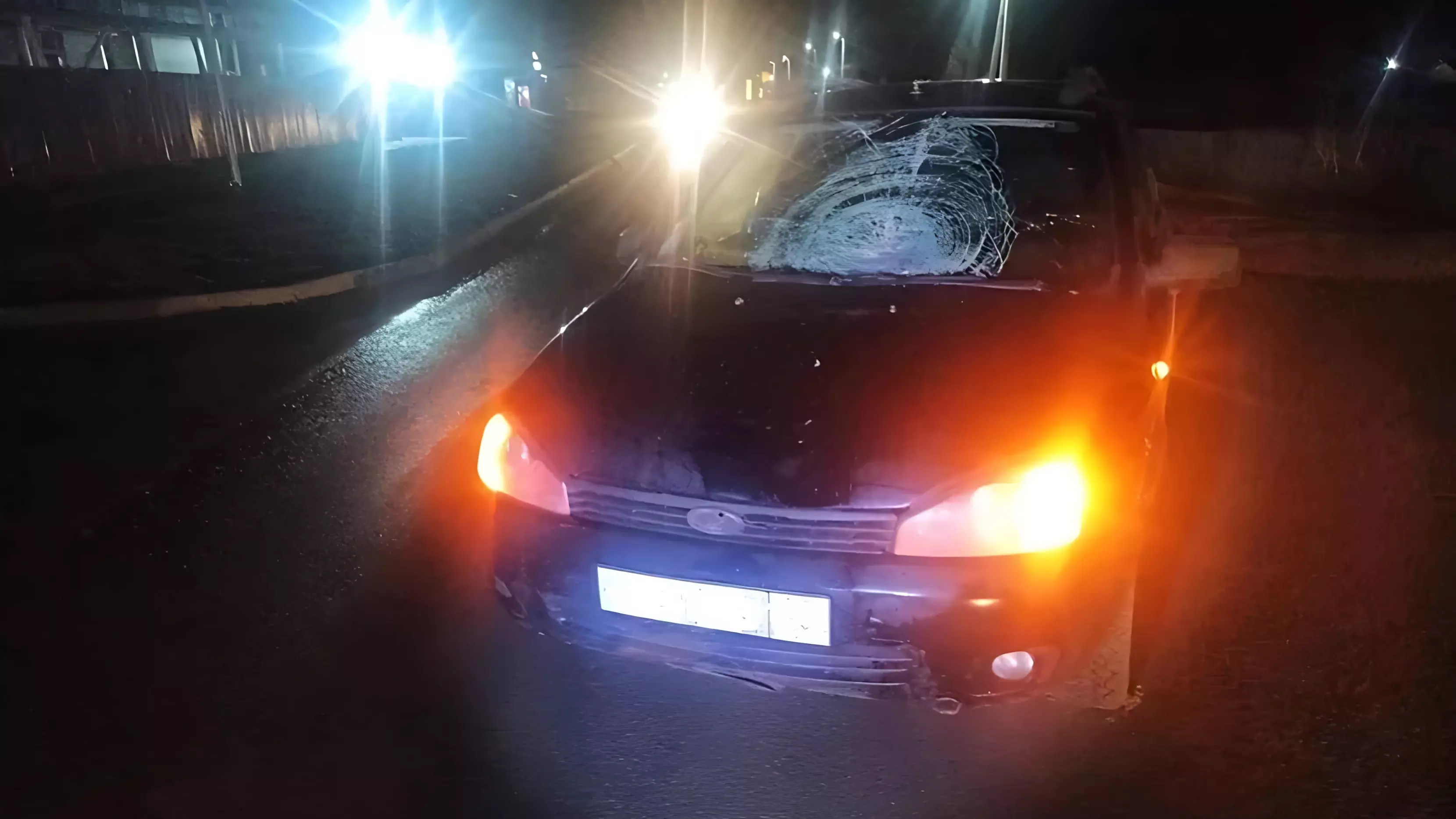 В Удмуртии женщина вышла на дорогу помочь сбитой собаке и попала под колеса машины
