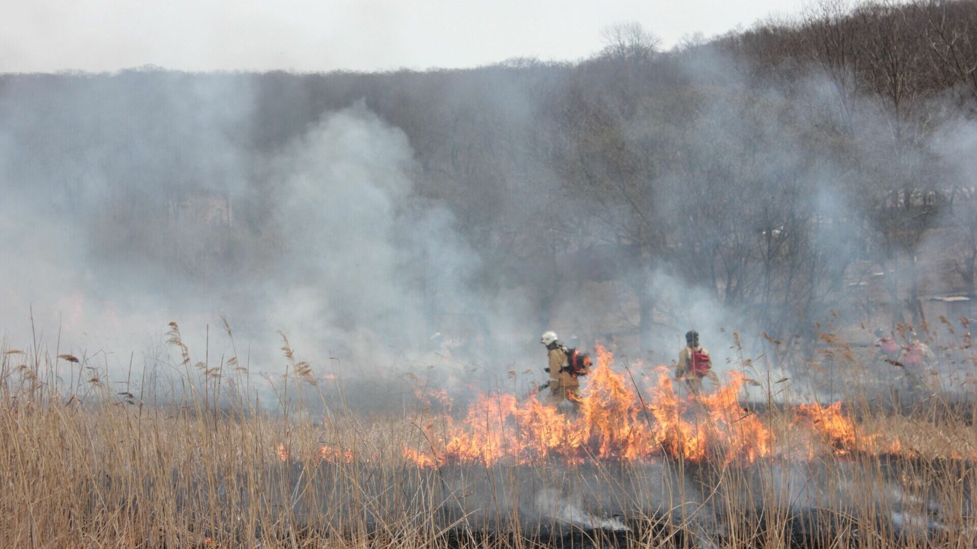Ландшафтные пожары угрожают еще двум районам Удмуртии
