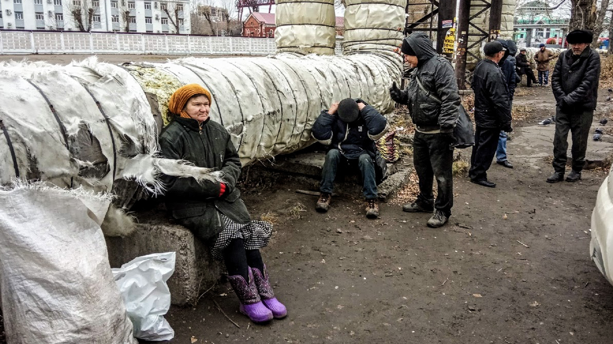 Глава Удмуртии предложил обследовать и приютить бездомных