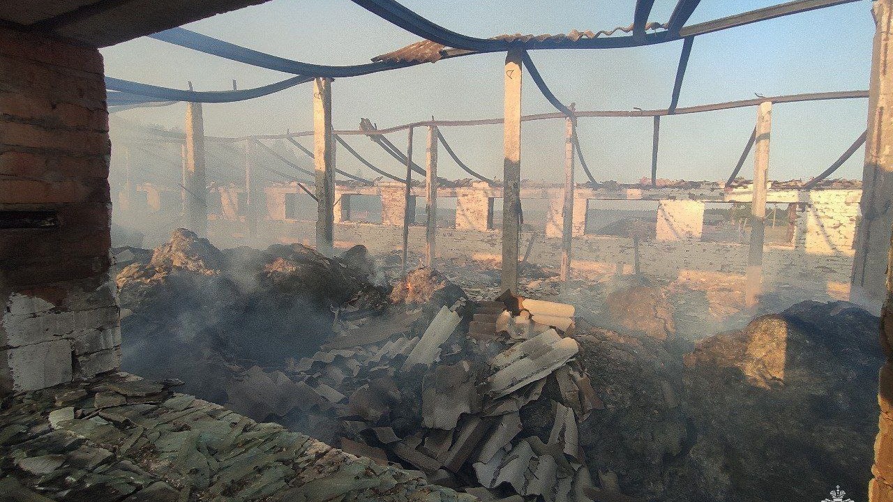 В горящую ферму войдет: спасая телят от огня, в Удмуртии пострадали две женщины