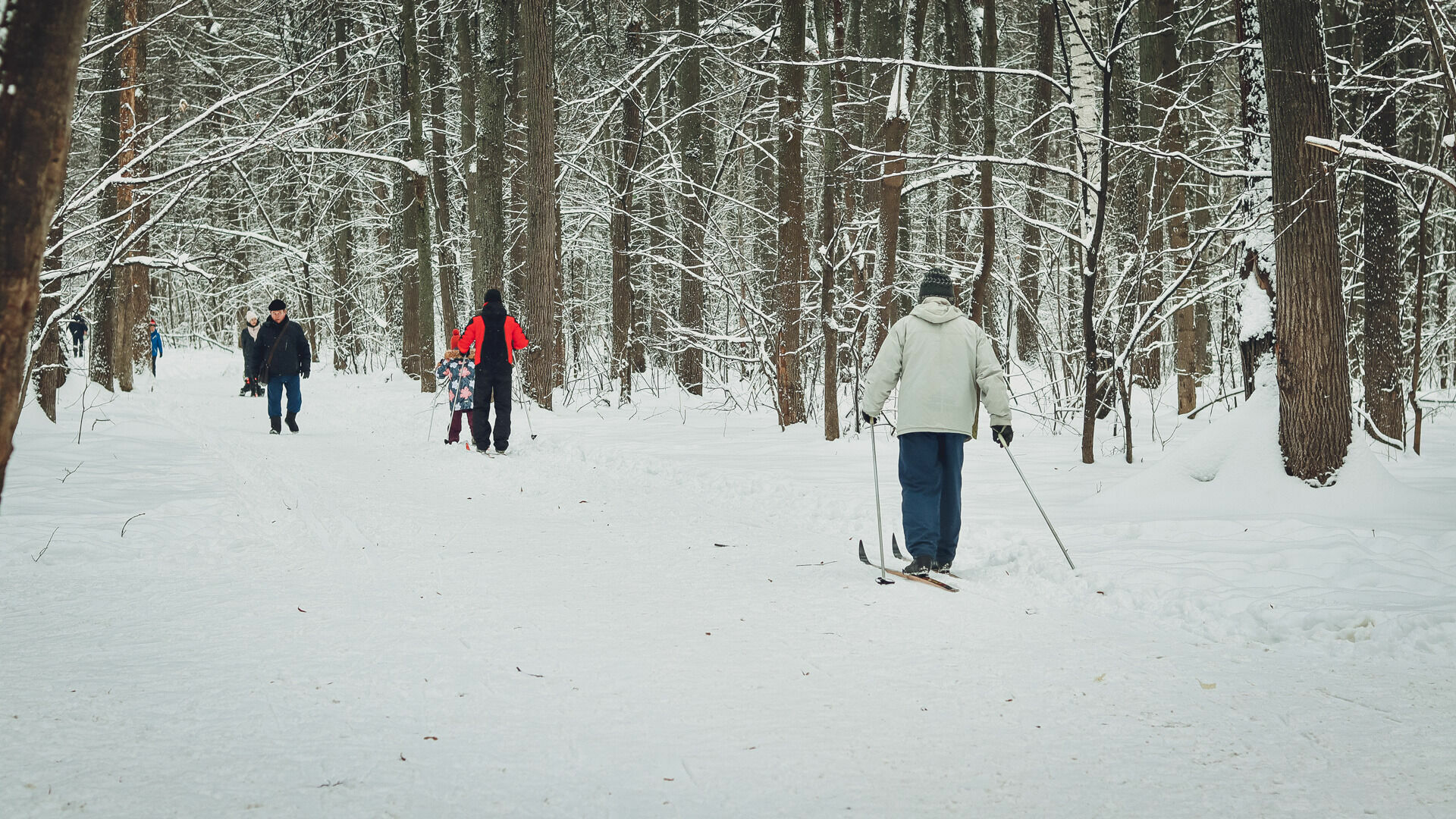 «Парки Ижевска»: Мы не имеем отношения к лыжным трассам в сквере Драгунова