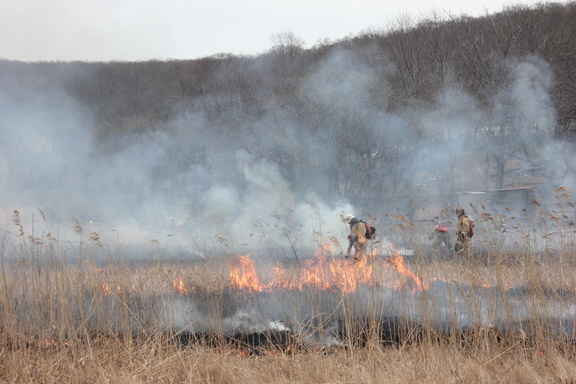 76 пожаров произошло в Удмуртии за неделю из-за возгораний сухой травы