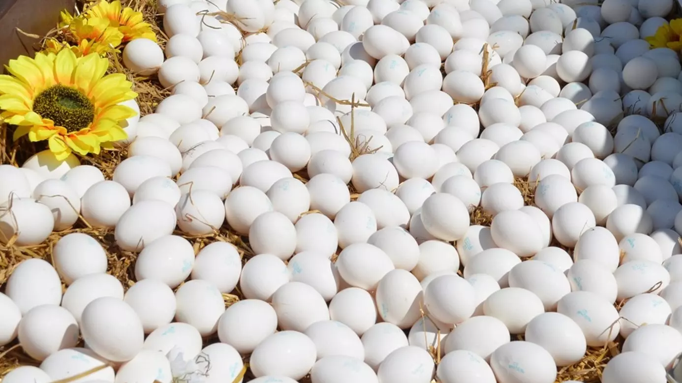 Глава Удмуртии ответил на вопрос по поводу роста цен на яйца