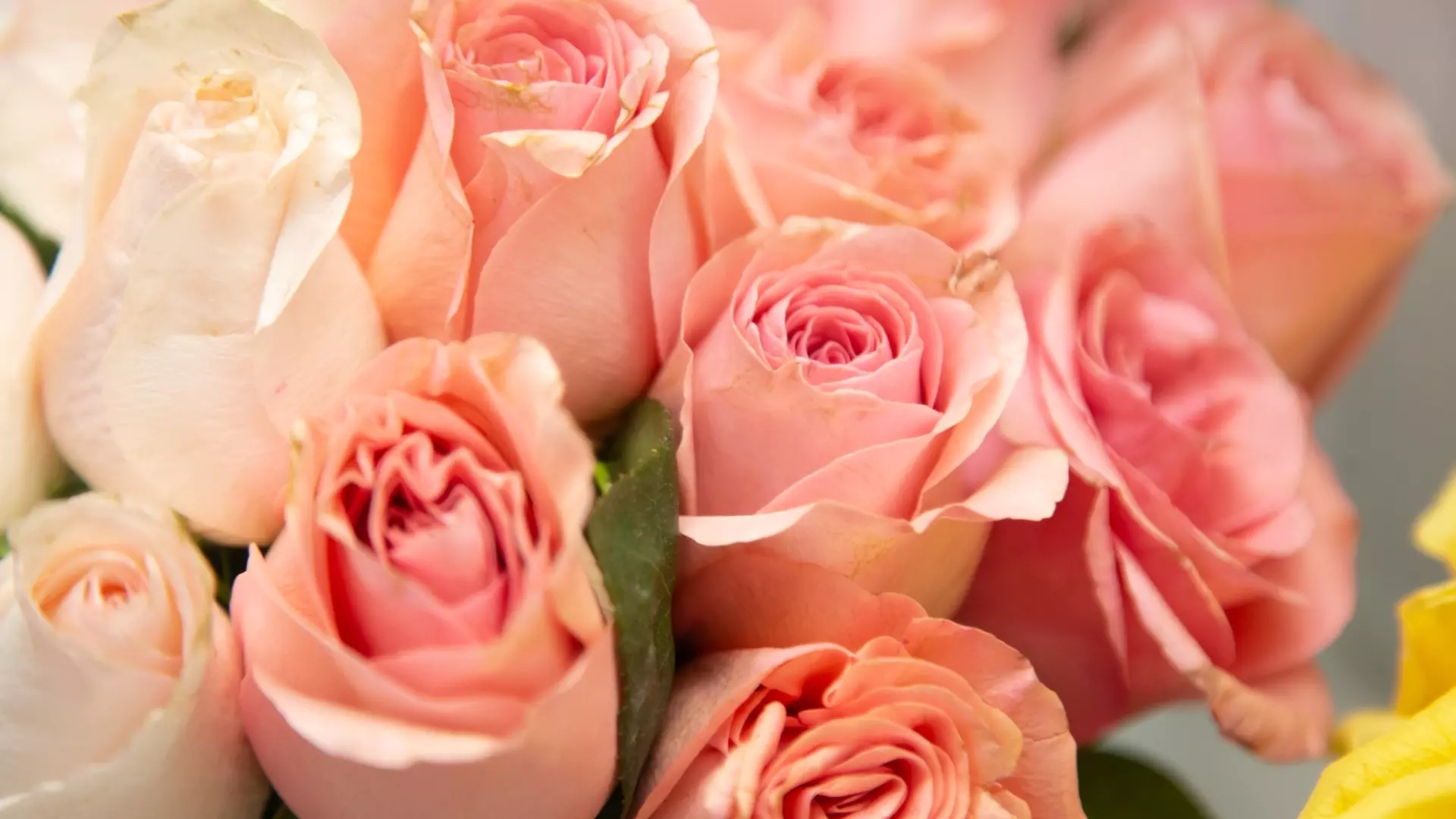 Кража во имя любви: в Сарапуле школьник похитил из магазина 101 розу