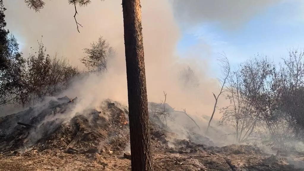 «По документам это лес»: в Можге горит нелегальный полигон