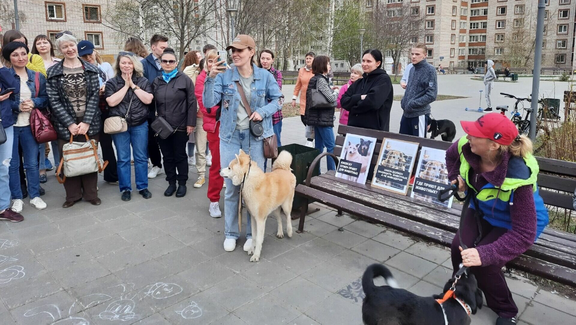 Акцию протеста против эвтаназии бродячих животных провели в Ижевске